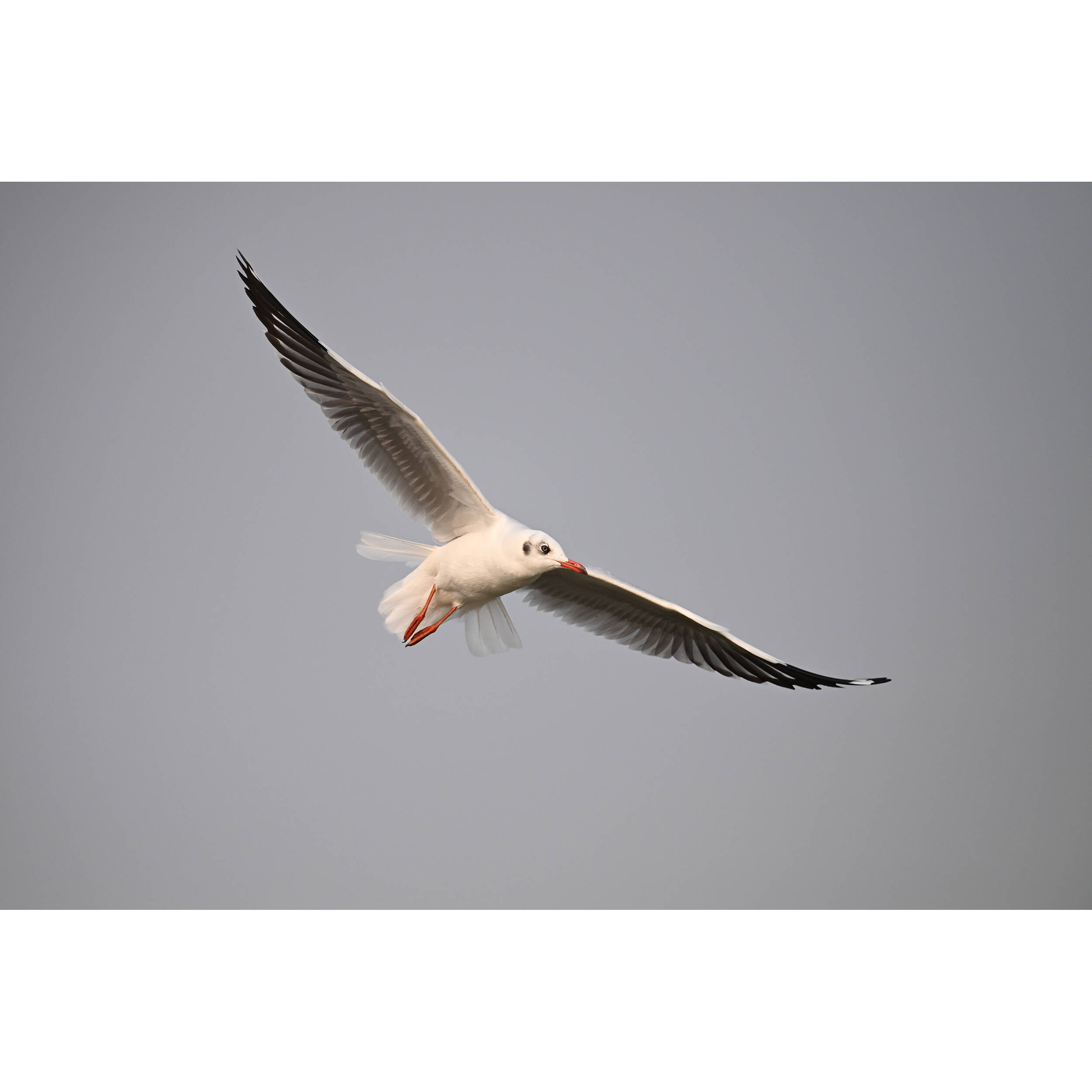 1718627622_IMG_2264825