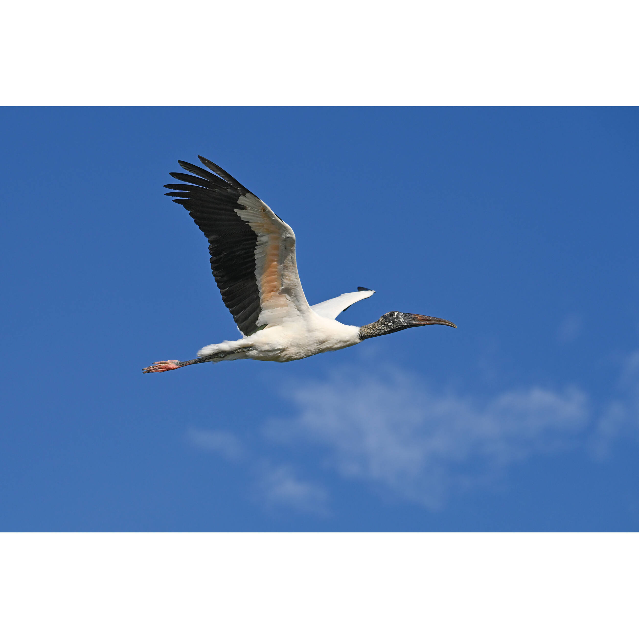 1718627622_IMG_2264830