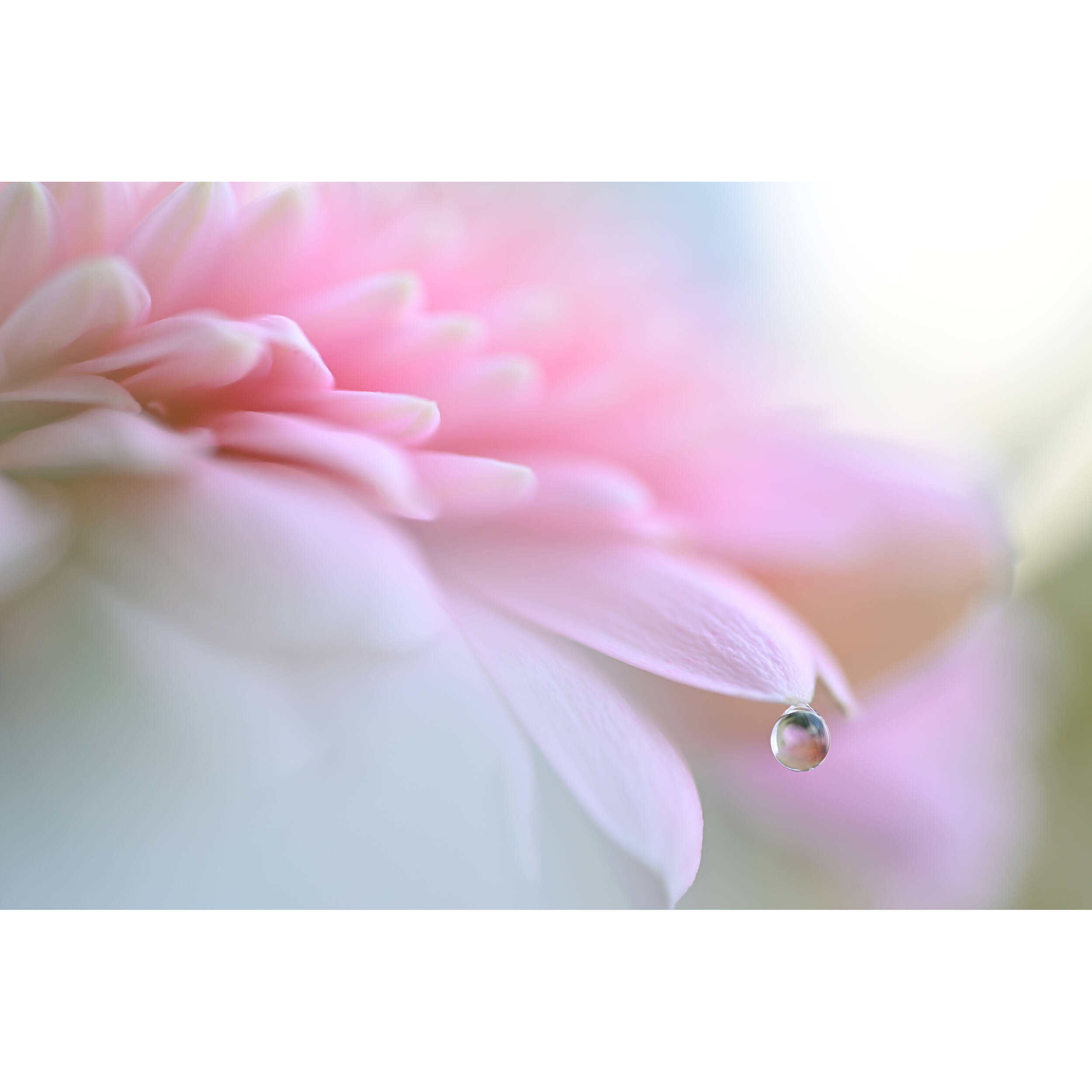 1718627622_IMG_2264831