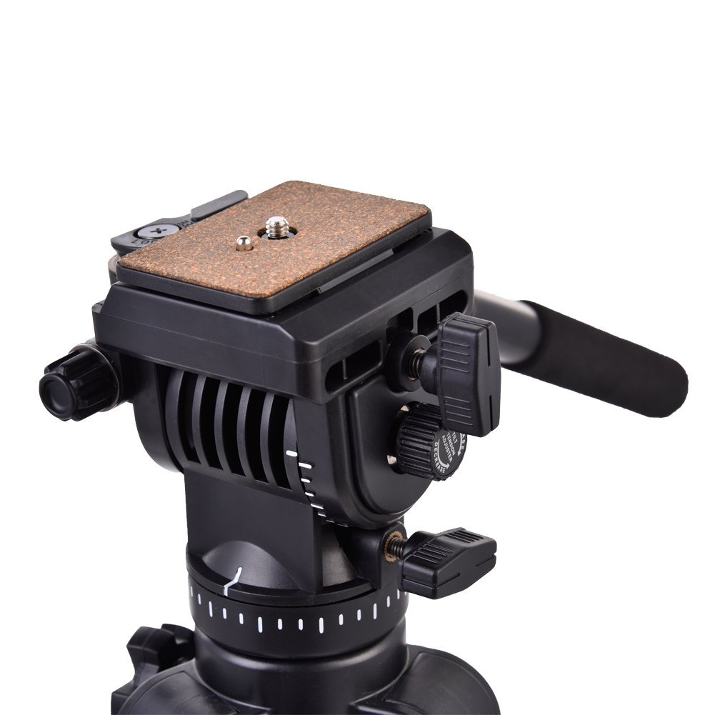 61sjzeJLiGL._SL1001_